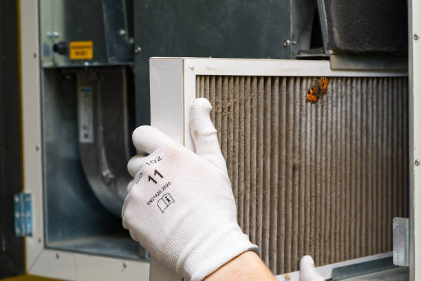 Best Air Duct Mold Removal  in Mpbell, CA